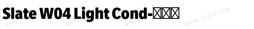 Slate W04 Light Cond字体转换